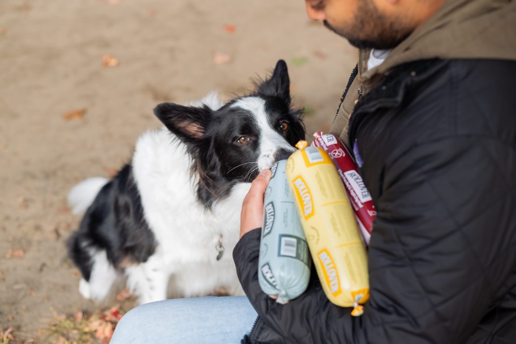 The Essential Guide to Canine Nutrition - Embracing Healthy Habits 3
