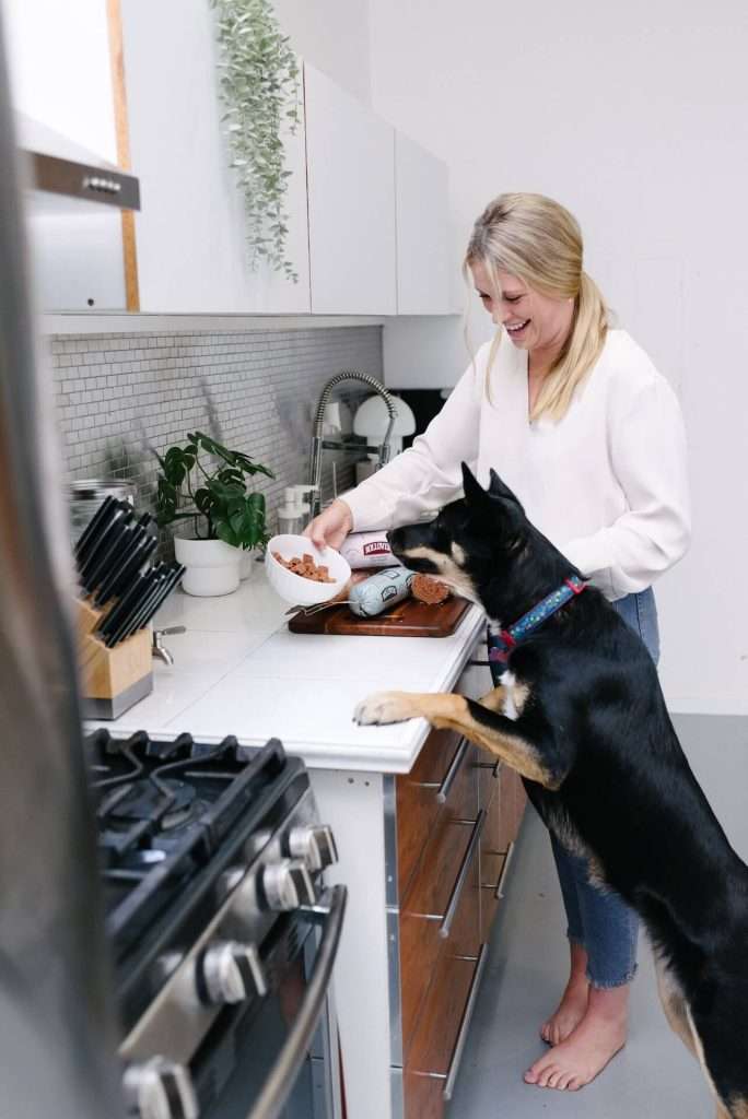 Tips for Transitioning Your Pet to a New Food 3 - Rollover Premium Pet Food
