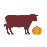 Beef & Pumpkin
