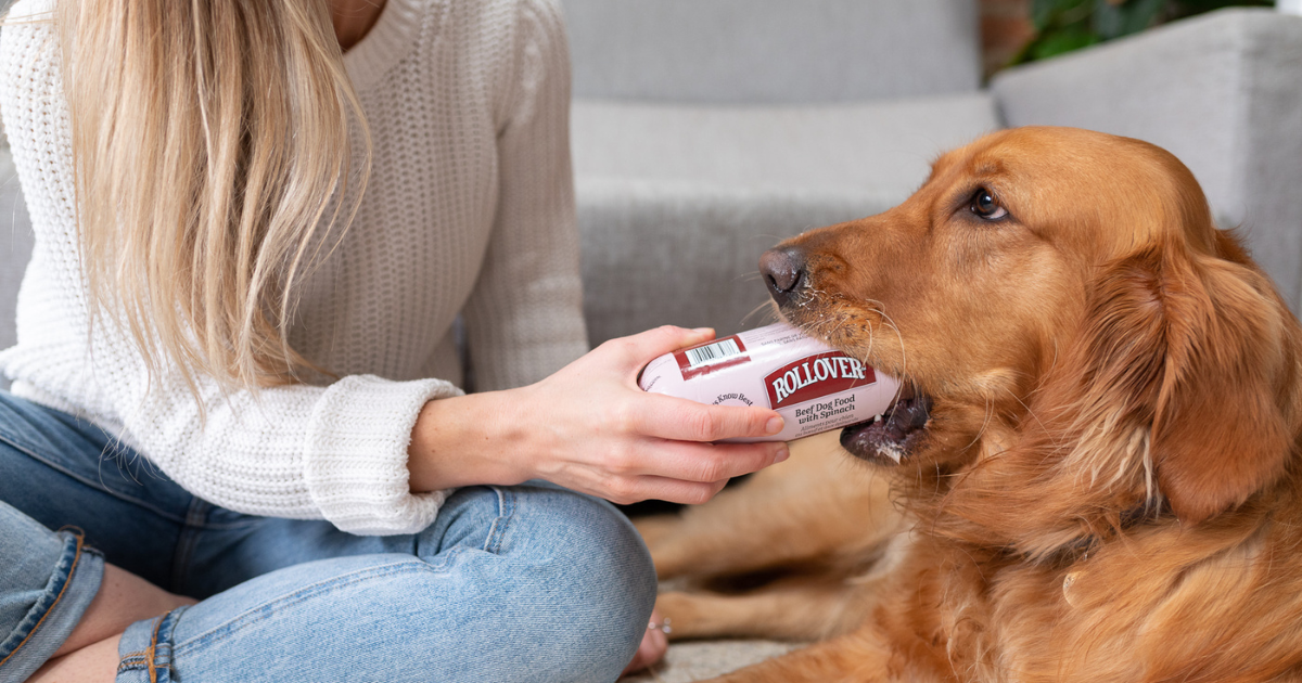 The Role of Meat in Your Pet's Diet 2 - Rollover Blog