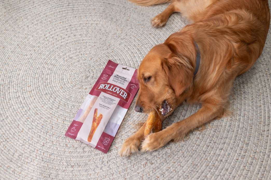Choosing the Right Chew - Matching Chews to Your Dog's Chewing Style