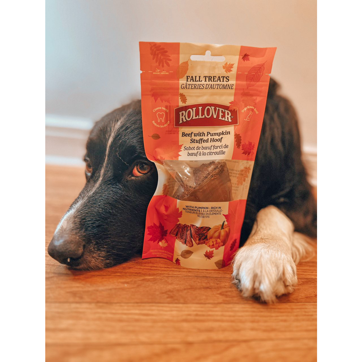 Beef with Pumpkin Stuffed Hoof 1 - Rollover Premium Pet Food Beef with Pumpkin Stuffed Hoof - Image 1