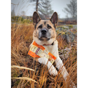 Beef with Pumpkin Small Stuffed Bone - 1pk